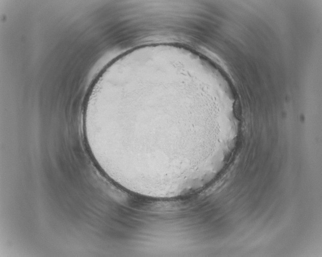 X0000074961179200609291905