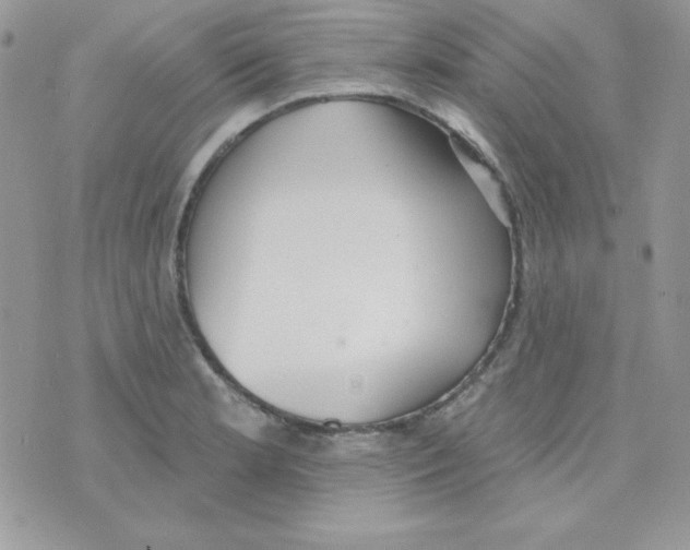 X0000074961181200609291905