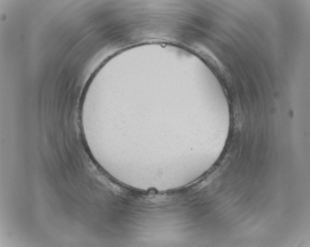 X0000074961182200609291905