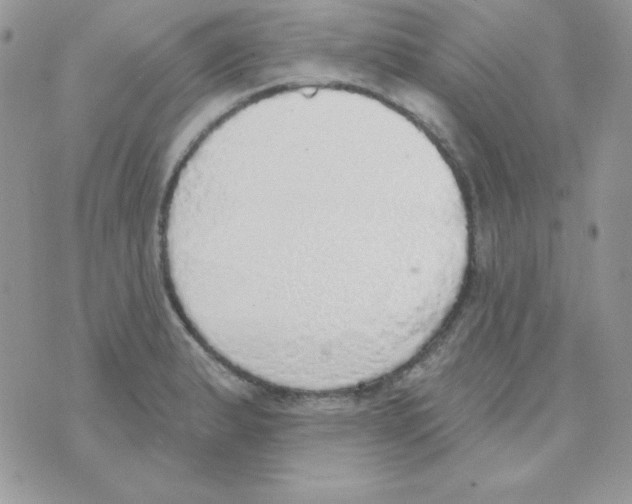 X0000074961183200609291905