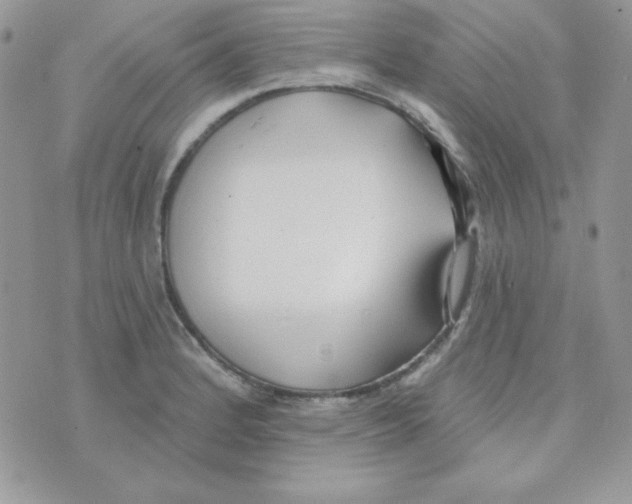 X0000074961184200609291905