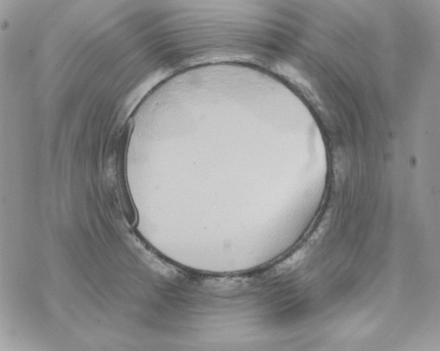 X0000074961185200609291905