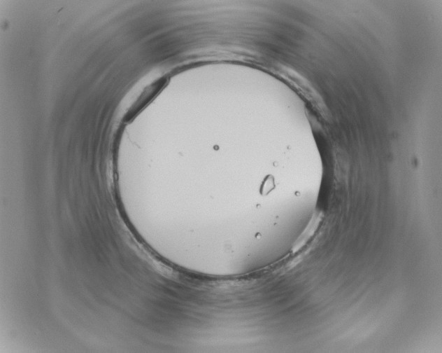 X0000074961188200609291905