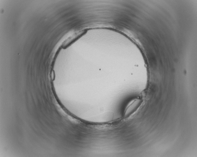 X0000074961189200609291905