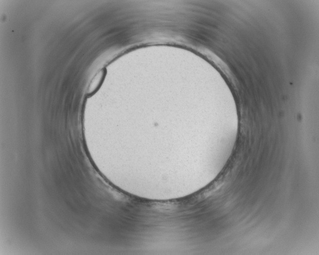 X0000074961191200609291905