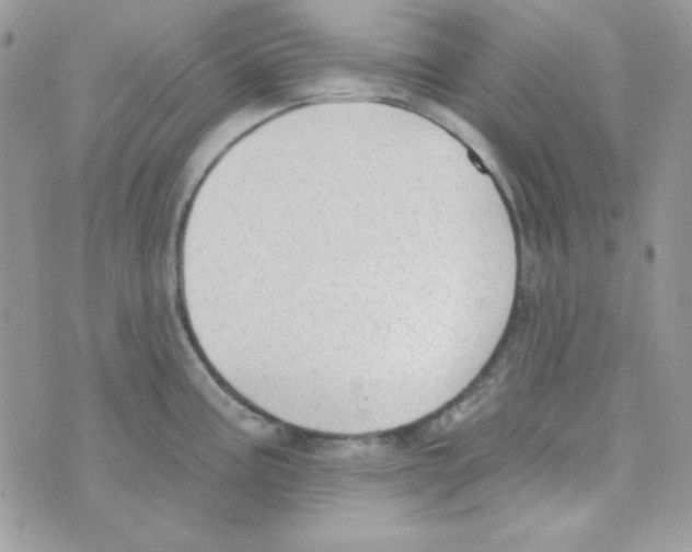 X0000074961195200609291905