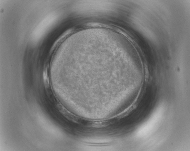 X0000074961198200609291905