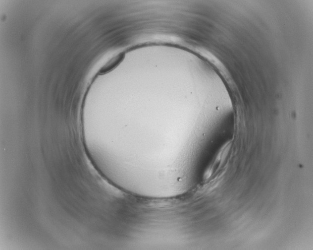 X0000074961199200609291905