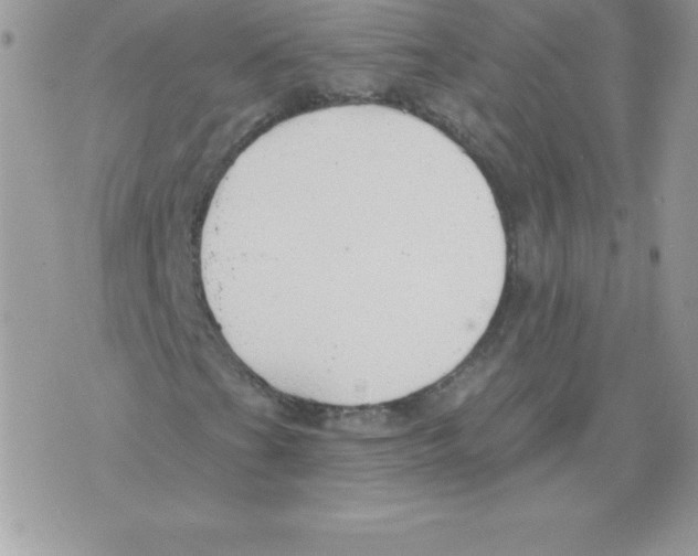 X0000074961201200609291904