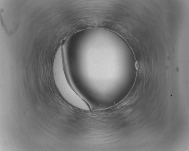 X0000074961202200609291904