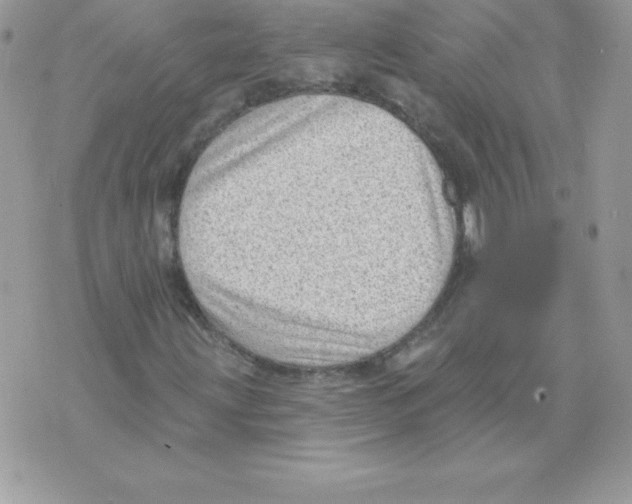 X0000074961203200609291904