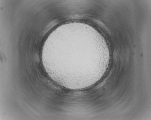 X0000074961209200609291904