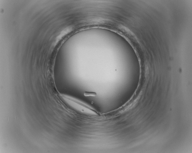 X0000074961210200609291904