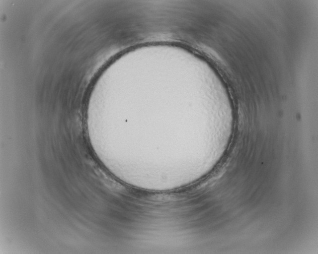 X0000074961212200609291904