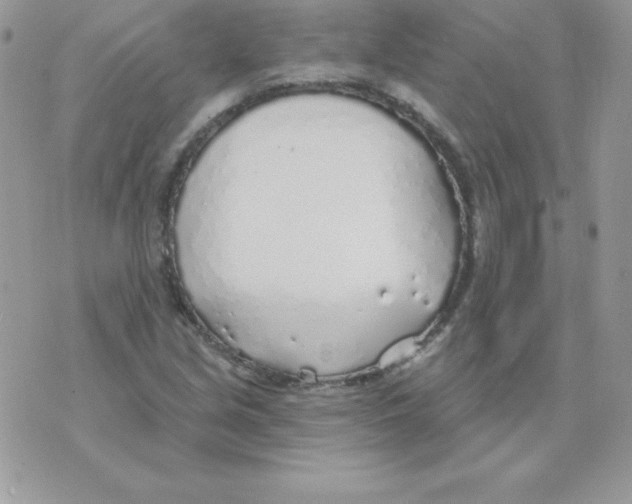 X0000074961213200609291904