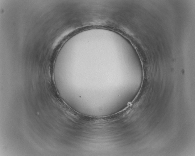 X0000074961214200609291904