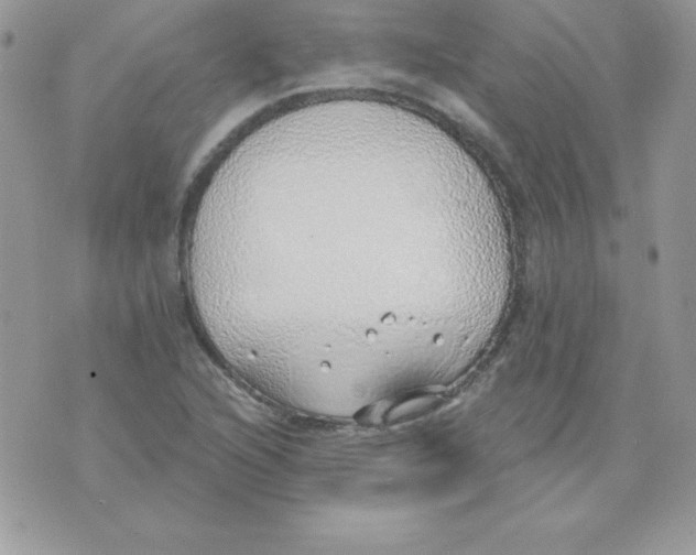 X0000074961216200609291904