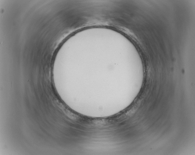 X0000074961220200609291904