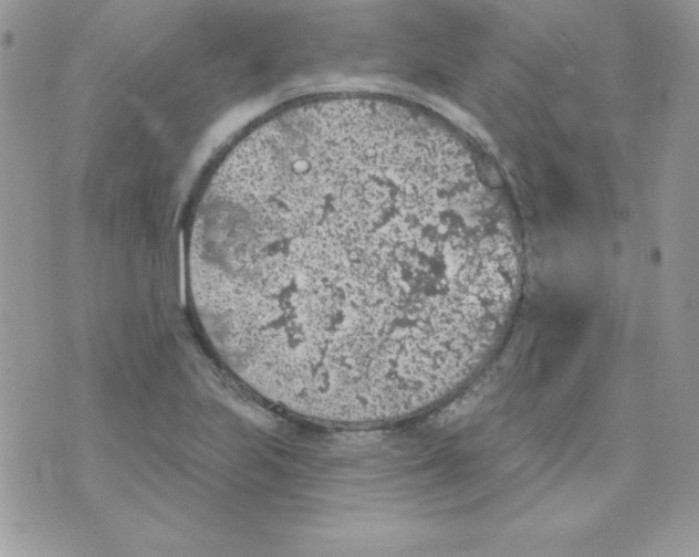 X0000074961223200609291904