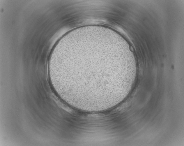 X0000074961227200609291904