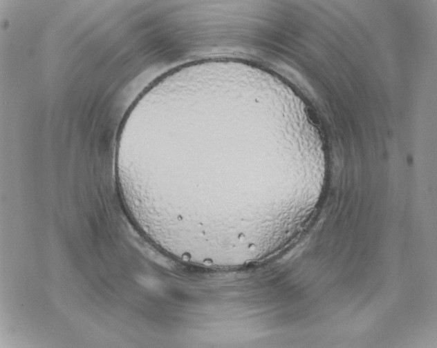 X0000074961228200609291904