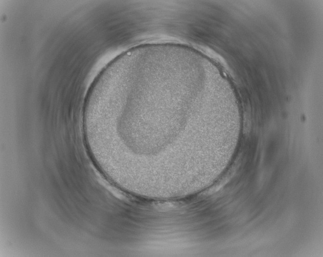 X0000074961231200609291904