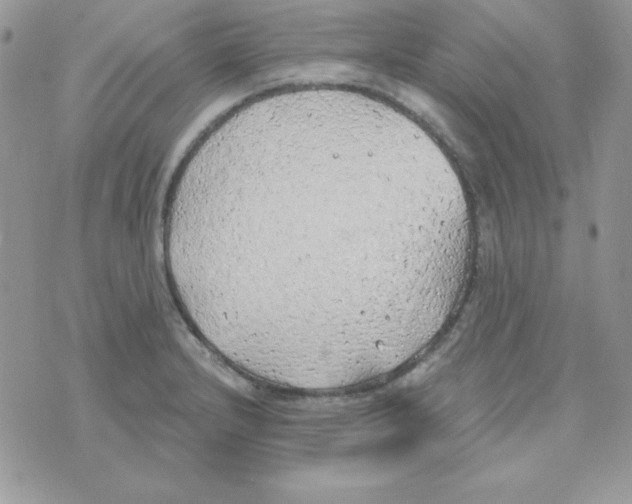 X0000074961232200609291904