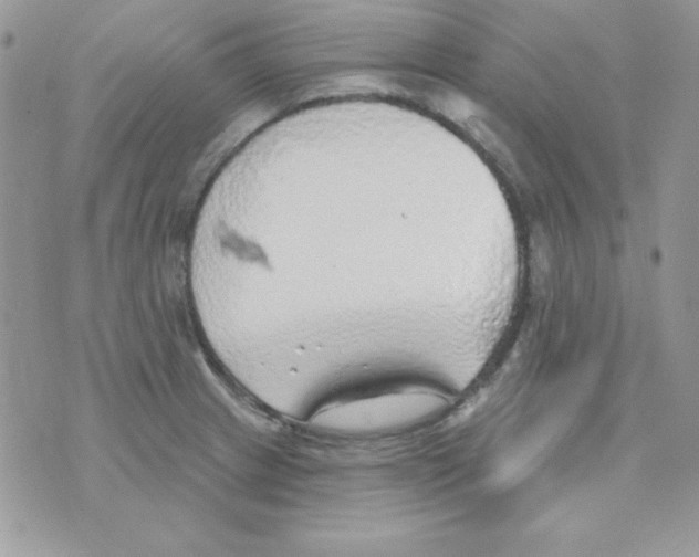 X0000074961233200609291904