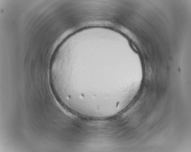 X0000074961237200609291904