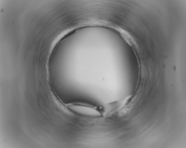 X0000074961238200609291904