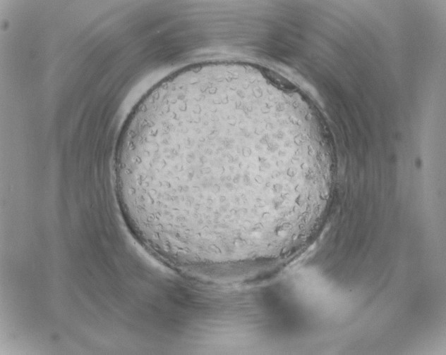 X0000074961239200609291904