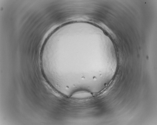 X0000074961240200609291904