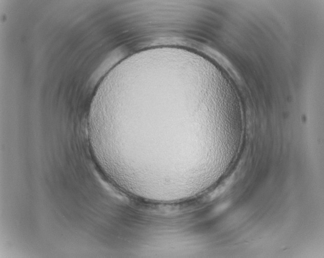 X0000074961241200609291905