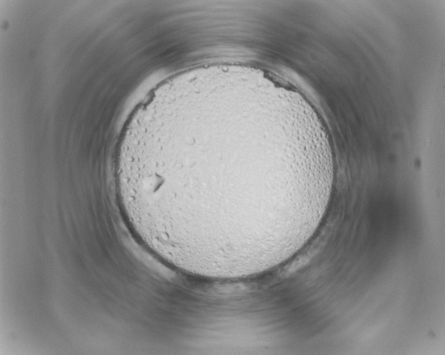 X0000074961243200609291905