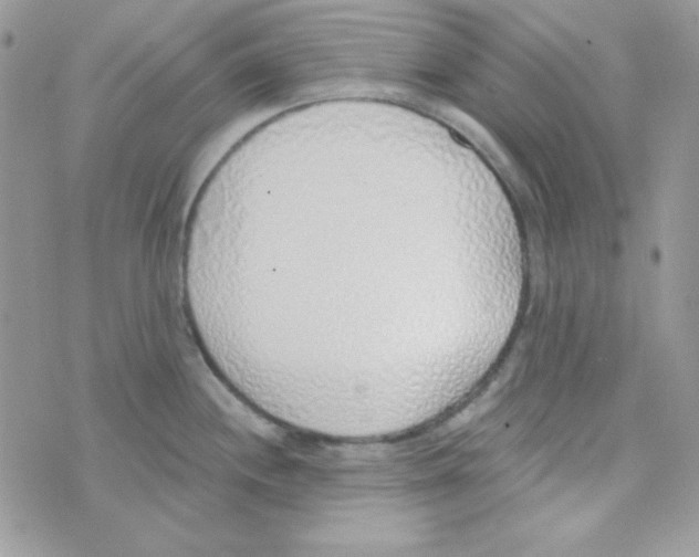 X0000074961244200609291905