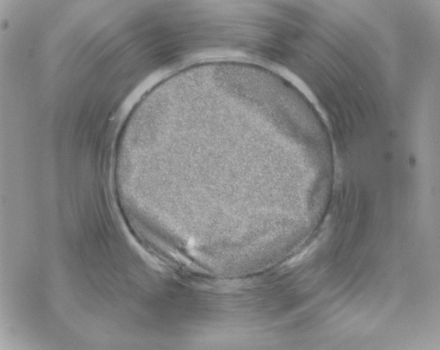 X0000074961245200609291905