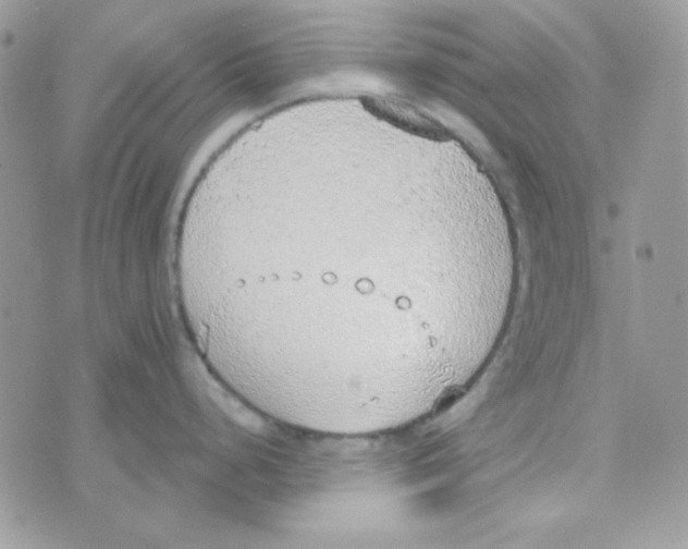 X0000074961248200609291905