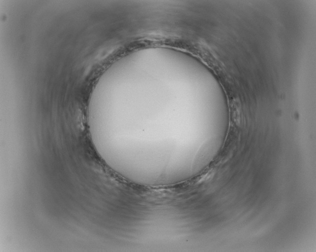 X0000074961253200609291904