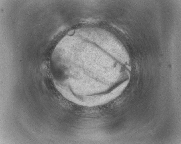 X0000074961254200609291904