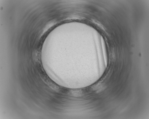 X0000074961258200609291904