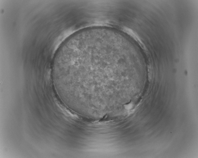 X0000074961260200609291904