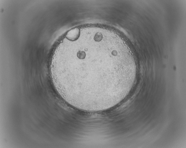 X0000074961263200609291904