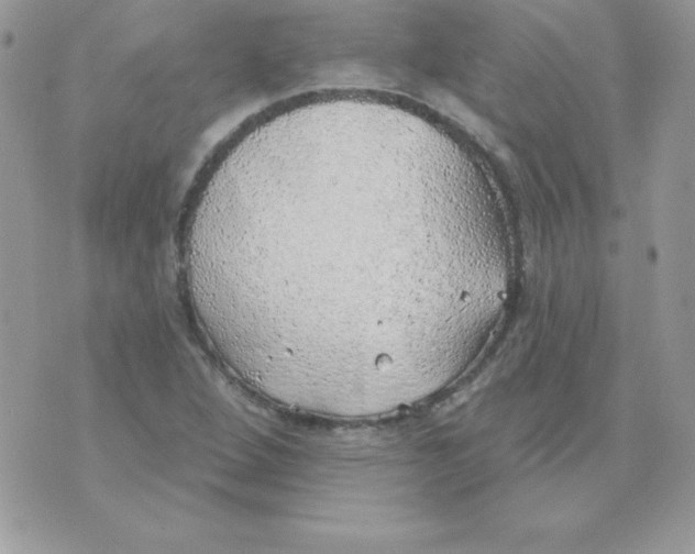 X0000074961264200609291904