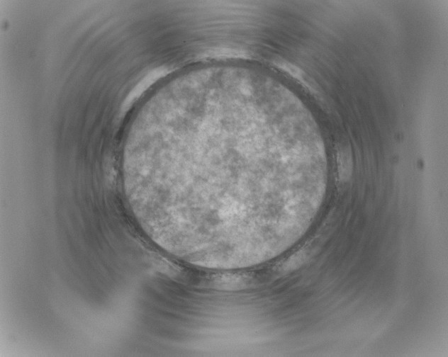 X0000074961266200609291904