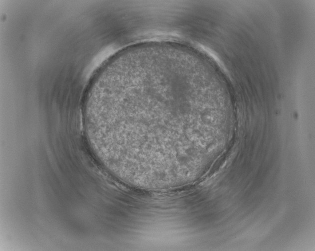 X0000074961267200609291904