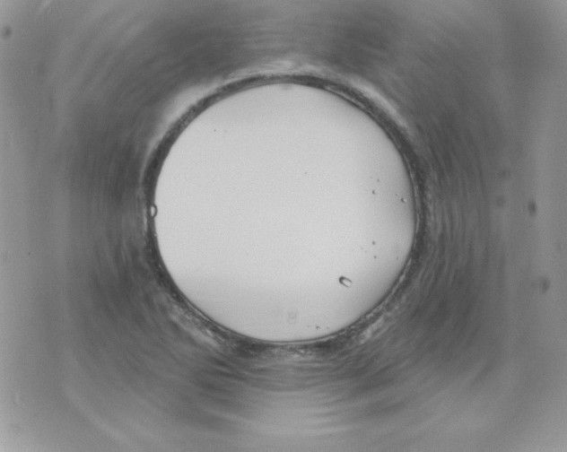 X0000074961270200609291903