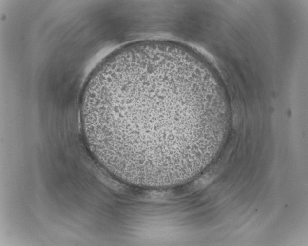 X0000074961271200609291903