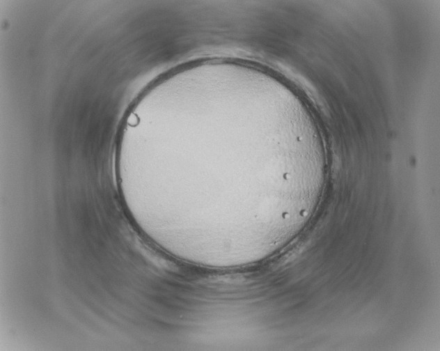 X0000074961272200609291903