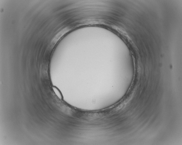 X0000074961273200609291903