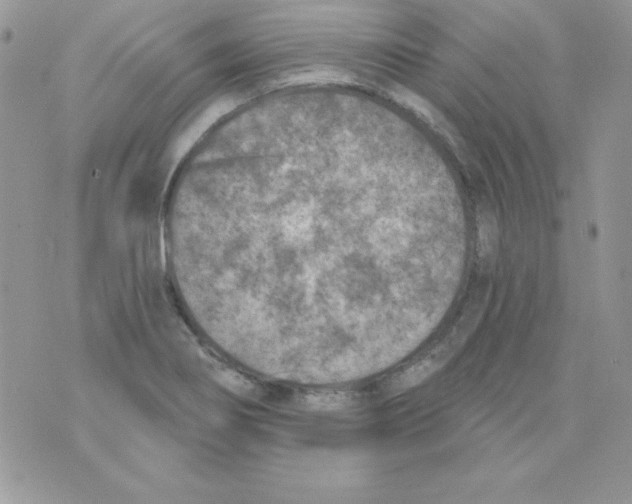 X0000074961274200609291903